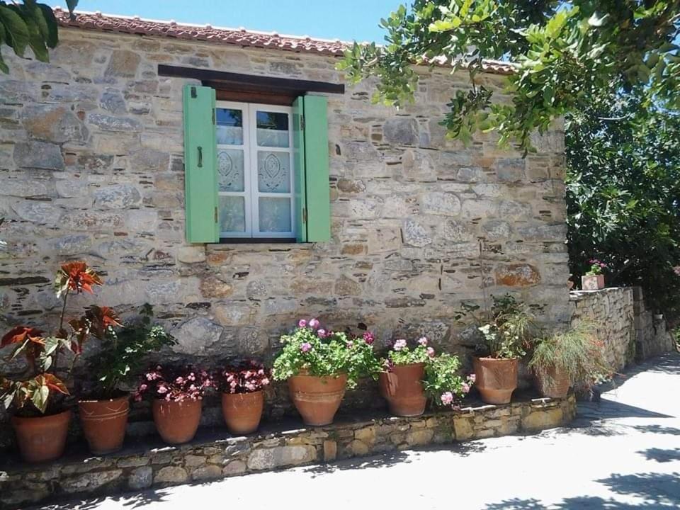 Villa Panayiota Alonnisos Town Exterior photo